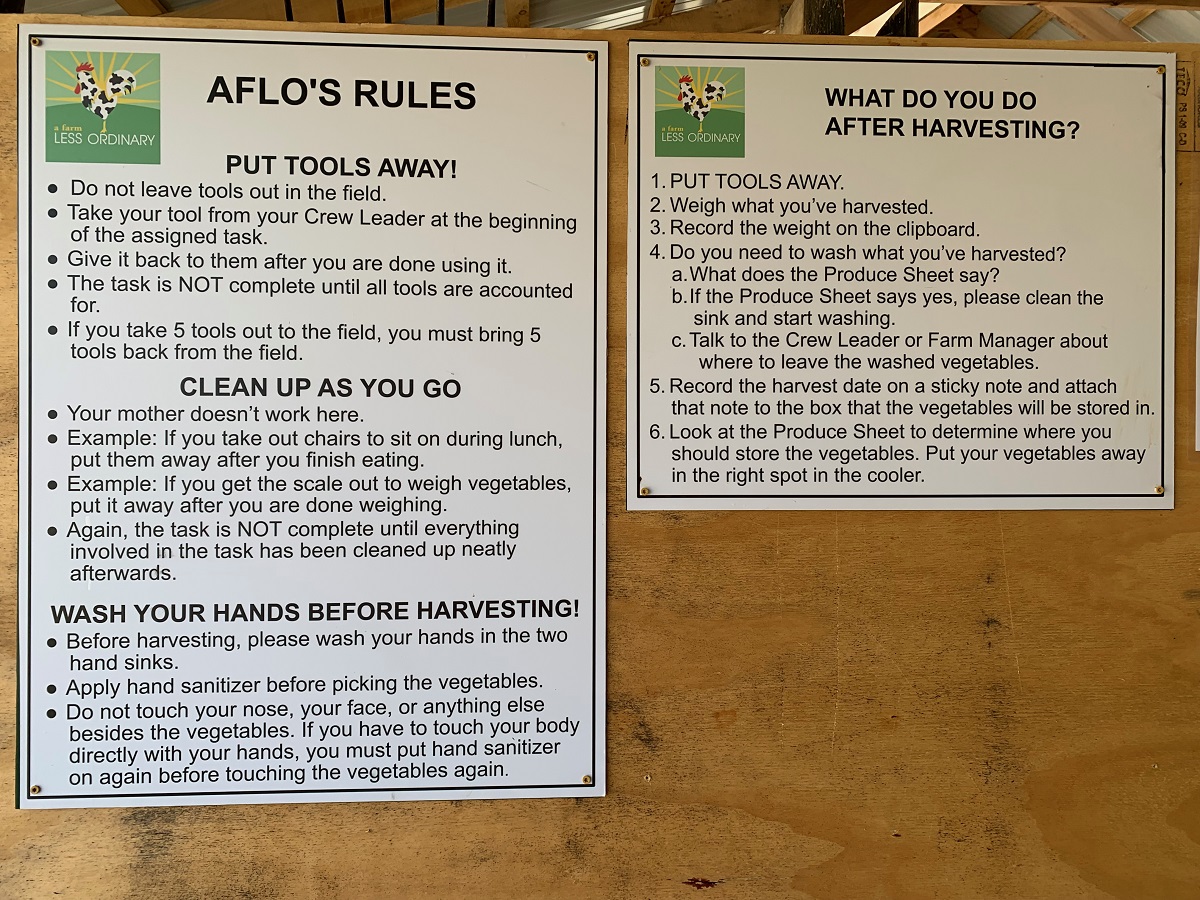 Signs of AFLO's Rules: "Put Tools Away", "Clean up as you go" "Wash Hands Before Harvesting", "What do you do after harvesting?"