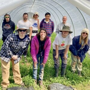 Grower in a greenhouse