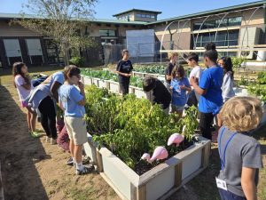 Kids gathered around a raised bed garden