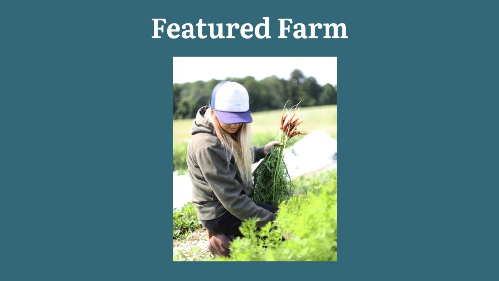 woman picking flowers in field