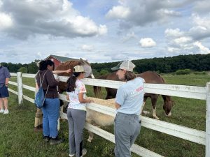 3 people standing, petting 2 horses