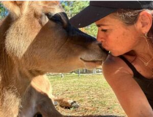 Woman kissing cow