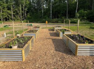 raised beds