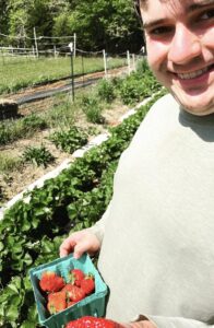 A grower holds containers of freshly picked strawberries.