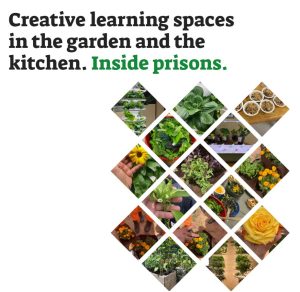 Creating learning spaces in the garden and the kitchen. Inside Prisons.
