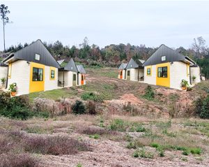 Tiny house community at Tender Love & Care Farm