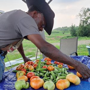 Man organizing produce on a table at Tender Love & Care Farm